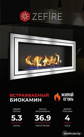 Биокамин ZeFire Sirius 1500