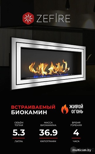 Биокамин ZeFire Sirius 1500