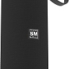 Беспроводная колонка Soundmax SM-PS5015B (черный)