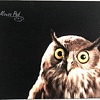 Коврик для мыши Dialog PM-H15 Owl