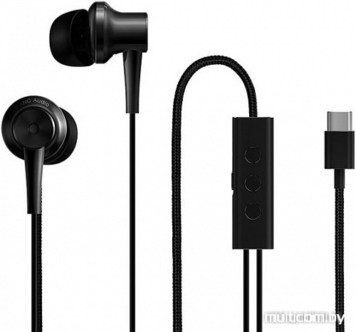 Наушники Xiaomi Mi In-Ear Pro Type-C (черный)