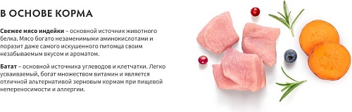 Сухой корм для собак Grandorf Adult Mini Breeds Fresh Turkey&Sweet Potat 3 кг