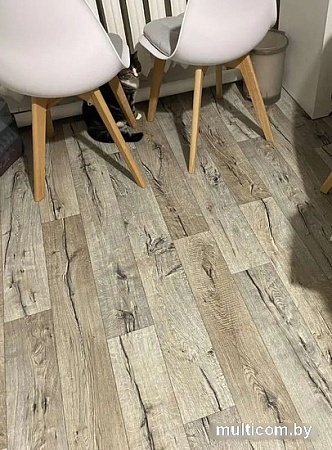 Линолеум IVC Golf Hunter Oak 593