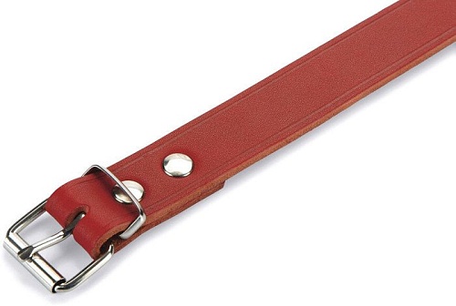 Ошейник Beeztees 735308