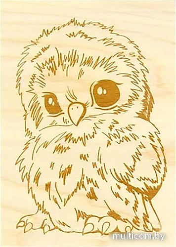 Набор для выжигания Десятое королевство Доски для выжигания. Совенок и щенок 01775