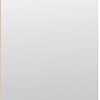 Зеркало Трия Хилтон Исп.2.1 (дуб крафт золотой)