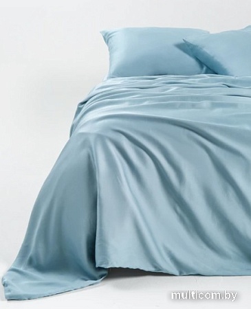 Постельное белье GoodNight Essential 2 368199 (голубой)