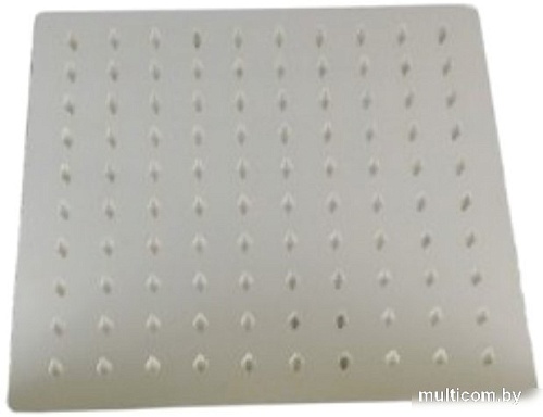 Душевая лейка Wisent WP304-20