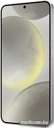 Смартфон Samsung Galaxy S24 12GB/256GB SM-S9210 Snapdragon (серый)