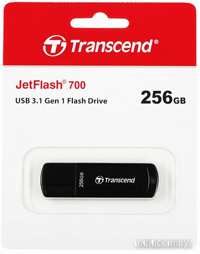 USB Flash Transcend JetFlash 700 256GB