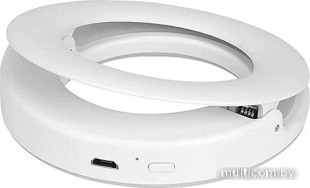 Кольцевая лампа DF LED-02 (белый)