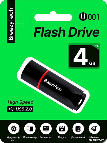 USB Flash BreezyTech U001 4GB (черный)