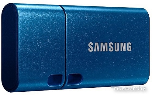 USB Flash Samsung USB Type-C 512GB (синий)