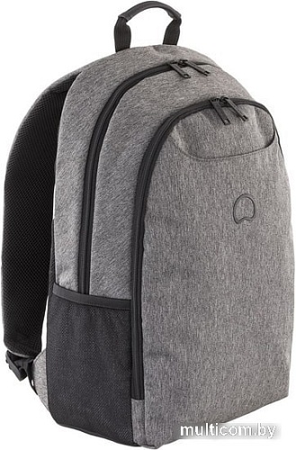 Рюкзак Delsey Esplanade 00394260301