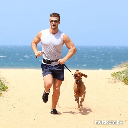 сумка для дрессуры Doog Mini Mini01 (черный)