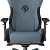 Кресло AndaSeat T-Pro 2 (голубой/черный)
