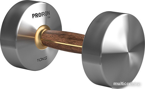 Гантель Proiron Г1100НО (10 кг)