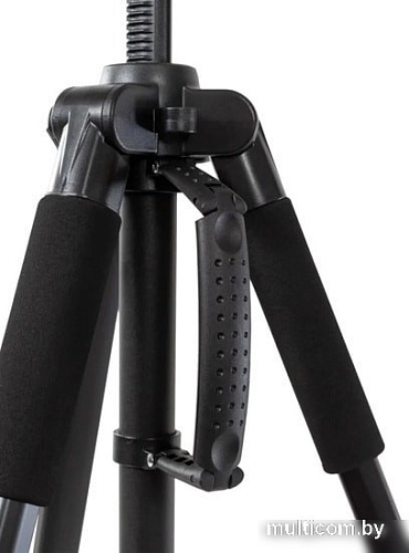 Трипод Raylab Travel 63 (с головой)