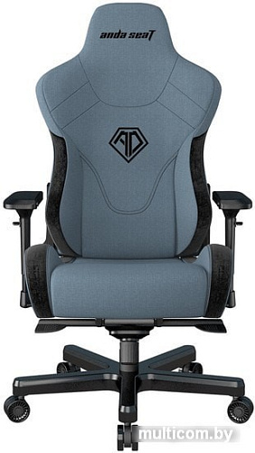Кресло AndaSeat T-Pro 2 (голубой/черный)