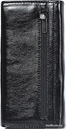Портмоне Galanteya 35313 25с542к45 (черный)