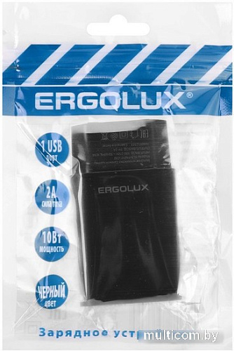 Сетевое зарядное Ergolux ELX-РA01P-C02 ПРОМО
