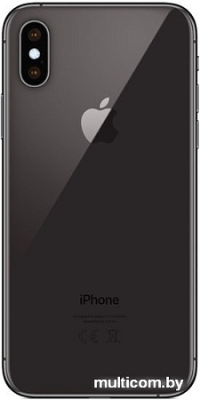 Смартфон Apple iPhone XS 256GB (серый космос)