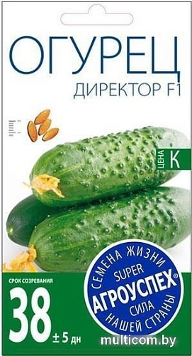 Семена Агроуспех Огурец Директор F1 59851 7 шт