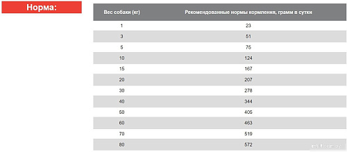 Сухой корм для собак Blitz Adult Salmon & Rice 15 кг