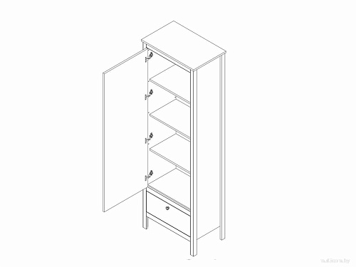 Шкаф распашной BRW Loft REG1D1S (дуб вотан/черный)