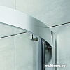 Душевая дверь Radaway Premium Plus DWJ 150 [33343-01-01N]