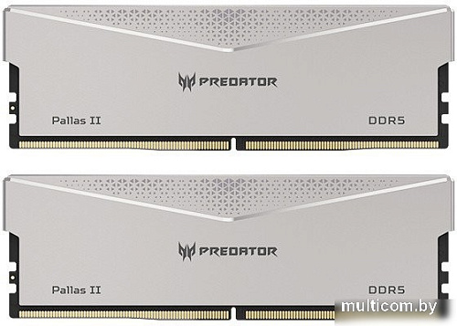Оперативная память Acer Predator Pallas II 2x16ГБ DDR5 6400 МГц BL.9BWWR.532