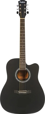 Акустическая гитара Fabio F4110 BK