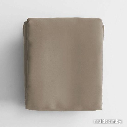 Комплект штор Pasionaria Блэквуд 280x270 (бежевый)