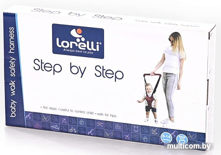 Ходунки Lorelli Step by Step (dark grey)