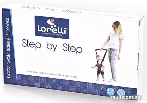 Ходунки Lorelli Step by Step (dark grey)