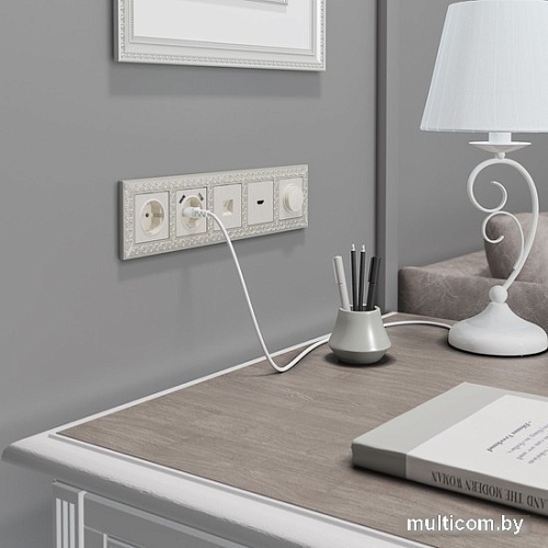 Розетка телефонная Werkel W1182013 a051181