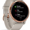 Умные часы Garmin Venu (песочный/золотистый)