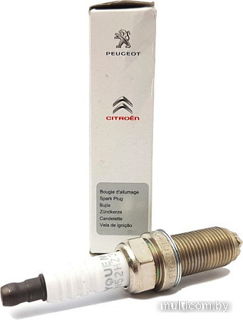 Peugeot/Citroen 5960F2