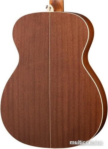 Акустическая гитара Parkwood S22-GT