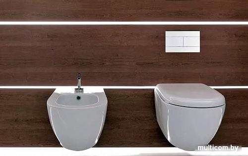 Jacob Delafon E4316-00 (белый)