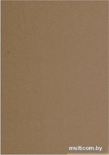 Набор бумаги для рисования BRAUBERG Art Classic 112486 (100 л)