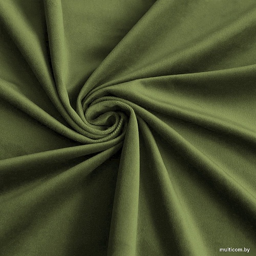 Комплект штор Pasionaria Репаблик 480x230 (светло-зеленый)