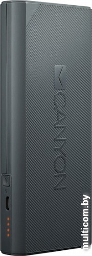 Портативное зарядное устройство Canyon CNE-CPBF100DG