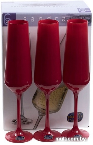 Набор бокалов для шампанского Bohemia Crystal Sandra 40728/D4600/200