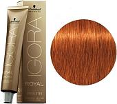Schwarzkopf Professional Igora Royal Absolutes 7-70 60мл