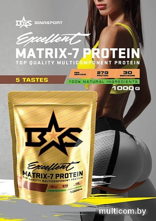 Протеин Binasport Excellent Matrix-7 Protein (1000г, имбирный пряник)