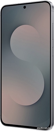 Телефон Samsung Galaxy S25 FE SM-S731B 8GB/512GB (черный)