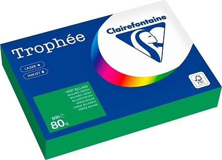 Clairefontaine А4 80г/м2 1991C (500л, травяной)