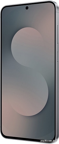 Телефон Samsung Galaxy S25 FE SM-S731B 8GB/512GB (черный)