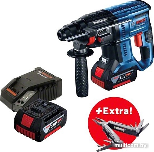 Перфоратор Bosch GBH 180-LI Professional 0615990L01 (с 2-мя АКБ, кейс)